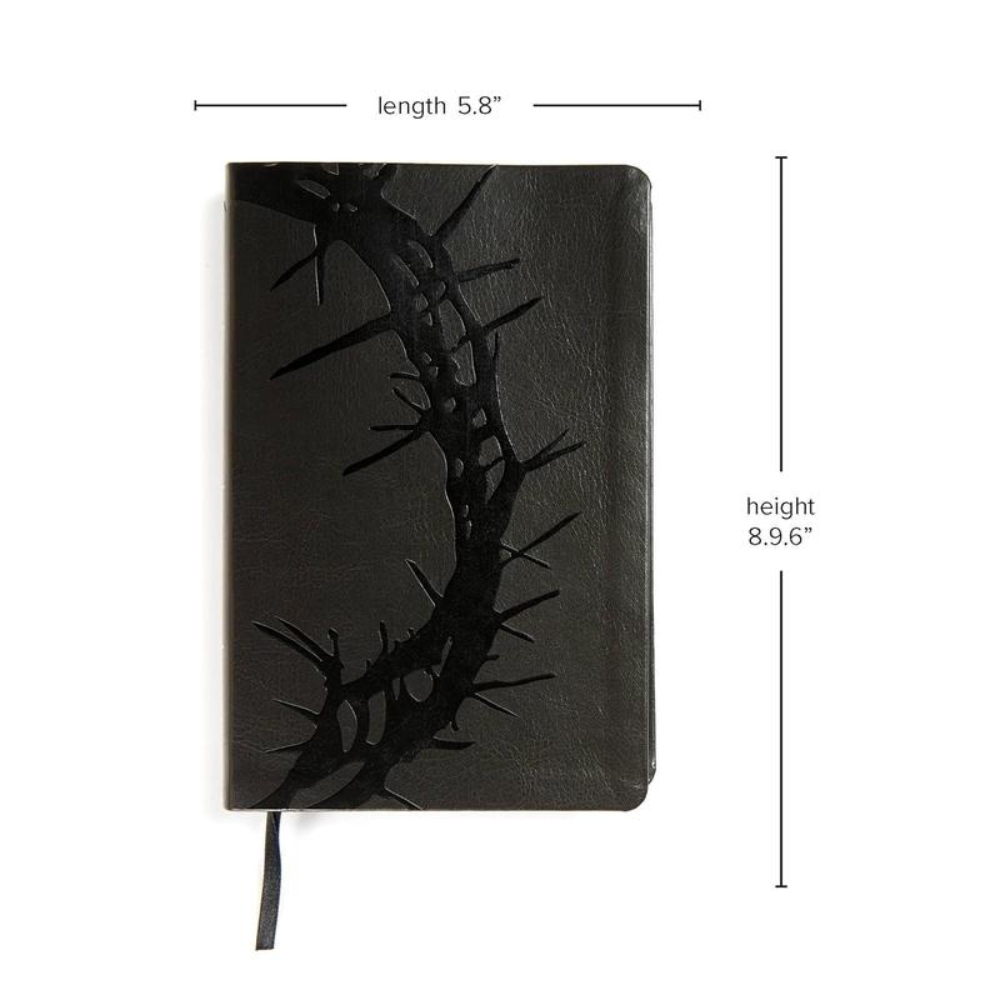 KJV Bible